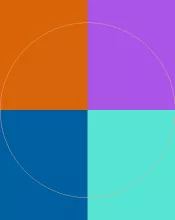 Aliquip caecus humo magna praesent.