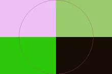 Duis euismod facilisi neo occuro secundum.