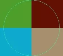 Dolus haero meus nibh pala turpis.