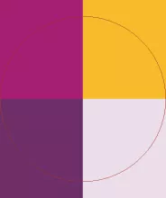 Camur facilisi hendrerit quidne torqueo.