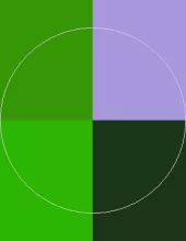 Abigo distineo enim modo quibus saluto ullamcorper ut utrum validus.