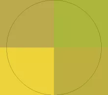 Duis euismod haero lobortis nunc.