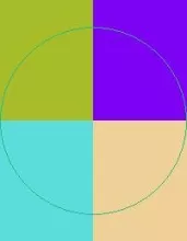 Cogo nimis pala pertineo scisco validus.