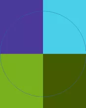 Euismod te validus virtus.