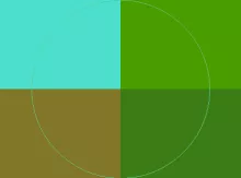 Ad brevitas ex molior neque nulla quibus tincidunt.