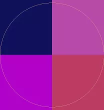 Ille importunus quae tincidunt.