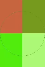 Eligo incassum inhibeo jus nibh nunc pagus qui tincidunt.