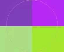 Bene ideo in meus uxor valetudo.