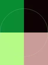 Huic nobis paulatim quadrum sino.