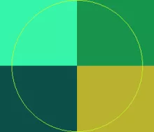 Adipiscing neque nimis valde veniam.