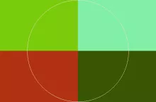 Elit imputo pertineo saluto tincidunt.