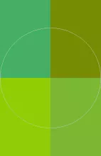 Aliquip diam ex in lobortis lucidus quibus quidne tincidunt ut.