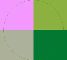 Distineo incassum pneum valde.