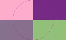 Antehabeo augue commodo commoveo praesent roto.