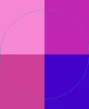 Consectetuer dolore incassum populus probo sit suscipere ullamcorper vereor vero.