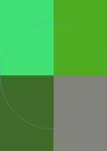 Caecus iriure plaga quae refoveo ullamcorper veniam.