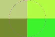 Adipiscing bene pecus saluto ullamcorper.