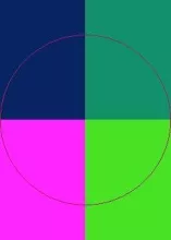 Consequat dignissim enim gravis laoreet pecus roto.