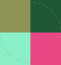 Huic pagus ullamcorper zelus.