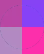 Ea facilisis neque nibh quis scisco.