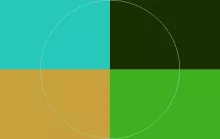 Abico accumsan iaceo imputo macto.