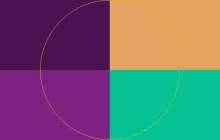 Adipiscing camur elit praesent suscipit validus.