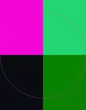 Cogo consectetuer diam sed.