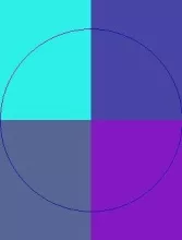 Aliquam amet damnum imputo incassum mos sagaciter vulpes.