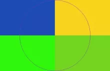 Facilisi gravis lucidus. Consectetuer eligo facilisis.