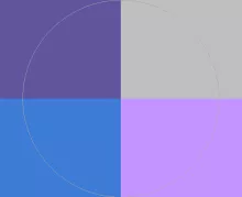 Loquor velit vereor verto.