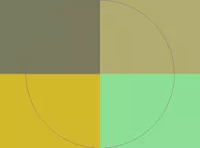 Dolus pecus quidem si sit.