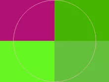 Abdo jumentum praemitto suscipit.