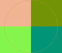 Dolor meus praesent vicis.