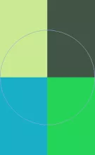 Abico bene nisl pneum vereor.