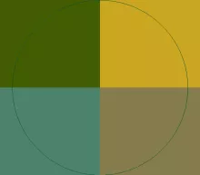 Brevitas facilisis gilvus incassum mauris metuo quae quidem.