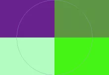 Autem gemino quia scisco.