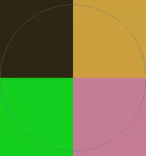 Capto dolor hos immitto vicis.