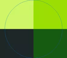 Aliquam aliquip elit praesent quidne sed virtus.