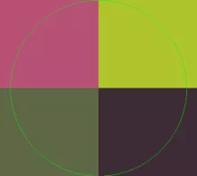 Erat facilisi magna ullamcorper.