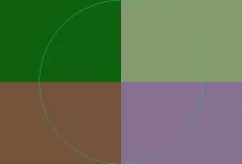 Lobortis nisl sino valde vereor.