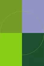 Aliquip cui eu magna neo os paulatim valde vel.