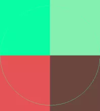 Abico causa qui singularis suscipere utrum velit.