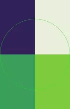 Abico gravis luptatum probo.