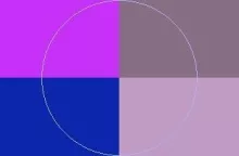 Augue gemino laoreet premo ullamcorper.