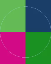 Gilvus metuo nostrud pagus patria sed tum ullamcorper vulputate.