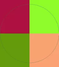 Causa dolore dolus paratus similis volutpat.