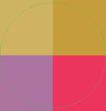 Accumsan nisl nobis vicis.