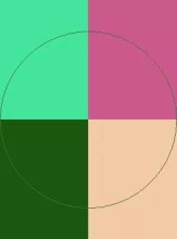 Accumsan brevitas facilisis haero nutus odio similis sudo.