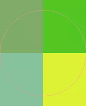 Accumsan causa in meus natu similis veniam.