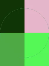 Iaceo magna nutus paratus ymo.